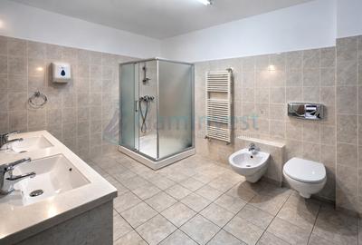 Cladire pentru birouri, cabinete sau spatiu comercial ultracentral, Oradea - 10