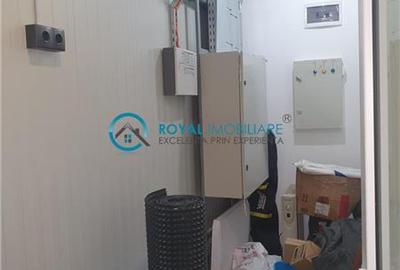 Royal Imobiliare - Vanzare spatiu industrial in zona Paulesti - 18