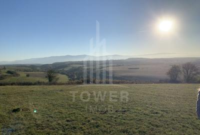 Teren pentru constructie cabana in Dealul Daii-parcele de 650 mp - 1