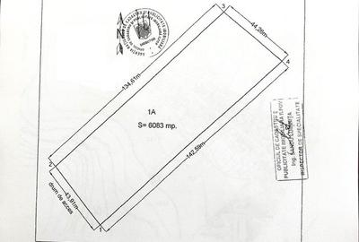 Super oferta ! Silistea Snagovului, langa lac, 6.083 mp. teren construibil - 3