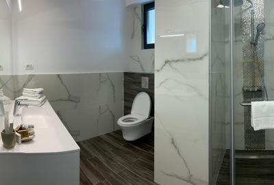 Penthouse 5 camere PIATA VICTORIEI - 6