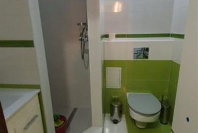 Apartament 2 camere in bloc reabilitat de 4 etaje Drumul Taberei - 4