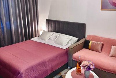 Garsoniera Dristor metrou - 1