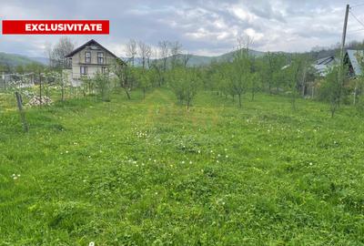 Teren Construcții intravilan de 12500 mp, în Drajna de Sus