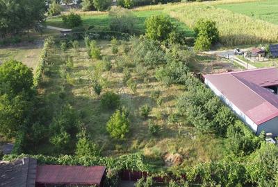 Vila superba 400m2 complet mobilata cu 5000m2 de teren - 10