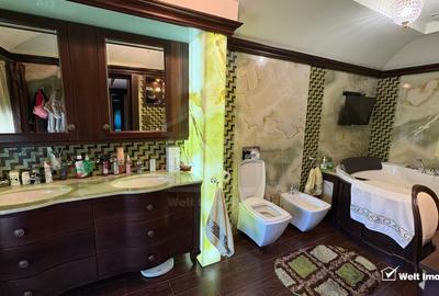 Vila superba in Andrei Muresanu, dotari de lux, piscina si SPA, 865 mp teren ! - 9