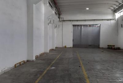 Hala industriala Frumusani - Buciumeni - 8