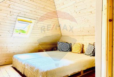 Casă de vacanță deosebită cu ciubăr si saună - natura si relaxare - 41