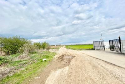 Teren intravilan 4657 mp, deschidere 30 ml, Ostratu, strada Lotusului - 7