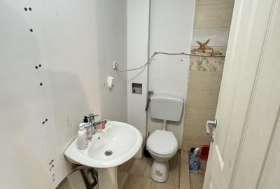 Casa Ultracentrala în Oradea, pe malul Crișului Repede - 19