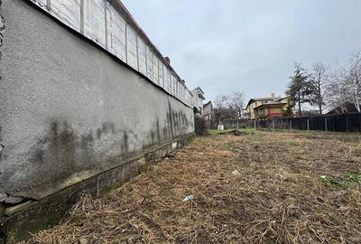 TEREN IN ZONA BANEASA - DOBROGEANU GHEREA - 3