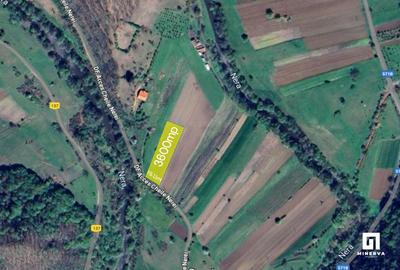 Teren 3600 mp pe drumul de acces in Cheile Nerei - Oportunitate excelenta! - 2