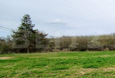 Teren intravilan de vanzare, 1.243 mp, platou Breasta - 1