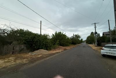 Teren 1000 mp Adunații-Copăceni (Dărăști-Vlașca)-Giurgiu - 8