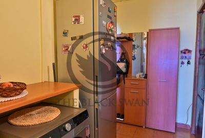 Apartament cu 3 camere de vanzare | Mobilat | Malu Rosu | Comision 0% - 11