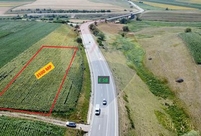 Teren 3,500mp Ilisesti / Strada Principala - 1