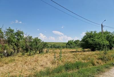 Teren cu deschidere catre lac - 40 km de Bucuresti - 2