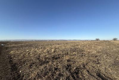 Teren extravilan | Rădăuți | 600 m de centură | 20 m front - 5