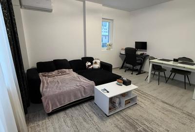 Apartament 2 camere cu terasă spațioasă și  curte proprie –Drumul Gura Făgetului - 3