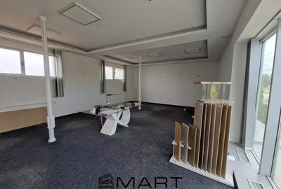 Spatiu comercial/showroom/birouri Turnisor - 7