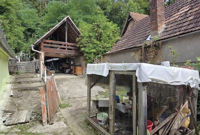 Casa de vanzare, zona Alexandru cel Bun, Sighisoara - 9