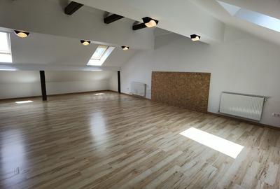 Vilă in zona Iancu Nicolae - 23