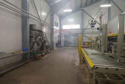 Spațiu industrial-depozit de 1120mp de închiriat în Dumbrăveni, SV - 32