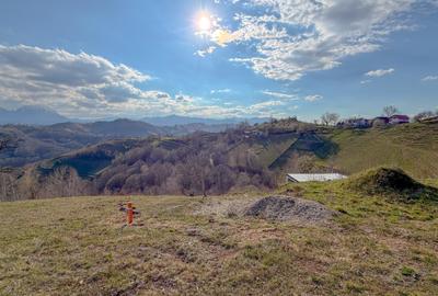 Refugiu de poveste în inima naturii | 12.000 mp în Holbav | Proiect început - 15