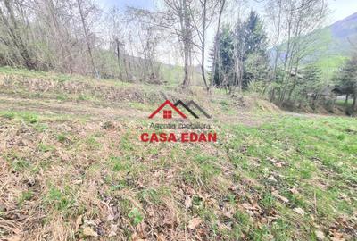 Teren intravilan in Valea Doftanei cu iesire la Parajul Paltinu--1000 mp--120e - 5