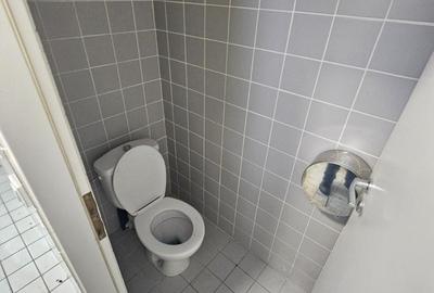 Militari Iuliu Maniu Stradal 91mp Liber Trafic Intens Merita Vazut - 6