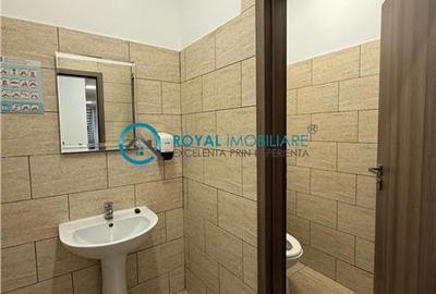 Royal Imobiliare-  Spatiu Industrial Zona Exterior Vest - 32
