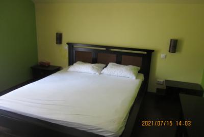 Casa duplex in Noua, P+E+M, 5 camere, 3 bai, mobilata si utilata, 499 mp teren! - 26