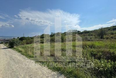 Teren intravilan | 4665 mp | 35 ml deschidere | Cetate - zona Schit - 3