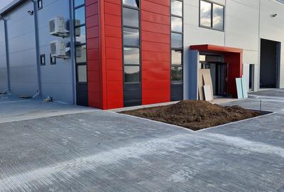 HALA NOUA depozitare si spatiu de birouri RUDENI - 1