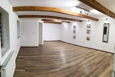 Spațiu comercial, 40 mp în Mănăștur