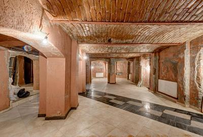 REC3001678 Spatiu comercial Cismigiu - 3