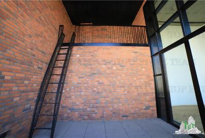 Duplex Loft de vanzare in zona Aviatiei - 2