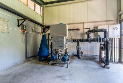 Proprietate speciala, spatiu comercial de 460mp / Pastravarie - 11