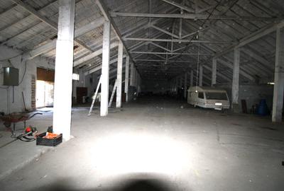 Hala in Independenta - 5