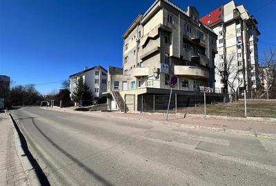 Spatiu birouri, salon, 163mp, aproape de Iulius Mall - 14