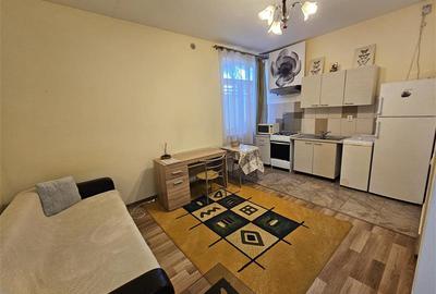 Inchiriere apartament 1 camera zona Marasti, strada Slatina Cluj-Napoca - 12