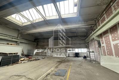 Hala industrial , 1400 mp , de inchiriat,  Buziasului, Timisoara. - 3
