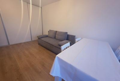 Inchiriez 2 camere decomantat pet friendly Tractorul zona Mega Image - 4