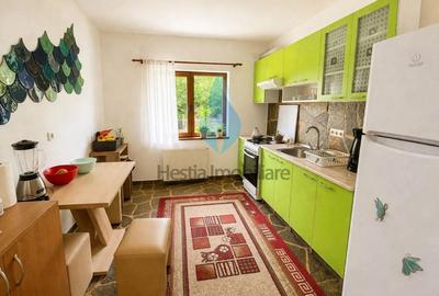 Vila individuala D+P+E+M, Bucium-Iasi. - 6