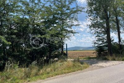 Teren agricol extravilan de 7000 mp, în Miroslava