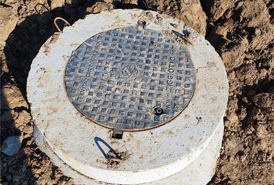 Teren de vanzare, Ghiroda, zona padurii Bistra - 5