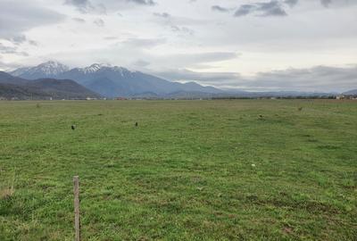 Teren Rasnov – Glajariei zona de case - 1