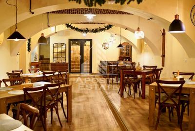 Afacere la cheie, in apropierea Castelului Corvinilor in Hunedoara - 19