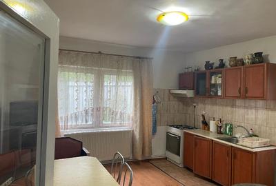 Casa 216mp cu vie si livada, 2500 mp teren – Horodistea, comuna Cotnari, Iasi - 12