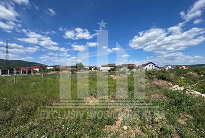Teren intravilan | 450 mp | 13 ml deschidere | Alba-Micesti - 2